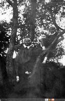 Siostry na drzewie;  *Sisters on a tree  **7287<br />