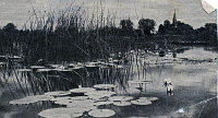  Lilie na rzece  ; *The lilies on the river<br />Dofinansowano ze srodków Ministerstwa Kultury i Dziedzictwa Narodowego i Starostwa Powiatowego w Bialymstoku.<br />