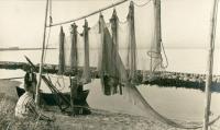 <p> Sieci rybackie ; A fishing net</p>

