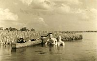<p> Kąpiel w Narwi ; Swimming in the Narew River</p>

