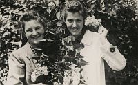 <p>Dwie dziewczyny wśród bzów ; Two girls among the lilac bushes</p>
