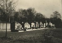 <p> Fragment cmentarza  Janowskiego; A part of the cemetery Janowski</p>
