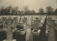 <p>Cmentarz Janowski we Lwowie ; Janowski cemetety of Lvov</p>
