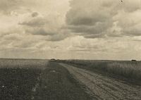 <p>Trakt wśród łanów zbóż ; A route among the fields of crops</p>
