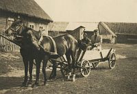 <p>Wóz dwukonny ; A double horse carriage</p>
