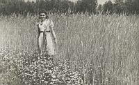 <p>Dziewczyna i łan zboża ; A girl and a field of crops</p>
