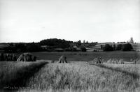  Korkożyszki- widok od strony zaścianka Bawirsze. Kresy.  Ok. 1930 rok,  Korkozyszki- the view form the Bawirsze village. Borderland. Circa 1930.