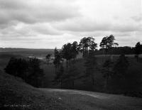Pejzaż w okolicach Korkożyszek. Ok. 1930 rok.  *Landscape near Korkożyszek. ca1930
