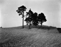 Pejzaż w okolicach Korkożyszek. 1930 rok. *Landscape near Korkożyszek ca 1930