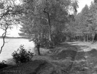 Droga nad jeziorem Żejmiana. 1930 rok.  *Żejmiana Lake Road. 1930 .