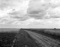 Trakt w okolicach Korkożyszek. Ok. 1935 rok.  *Route around Korkożyszek. Ca. 1935 .