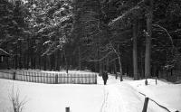 Zima w Podbrodziu. Ok. 1930 rok *Winter in Podbrodziu. Ca. 1930
