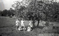  Dzieci pod drzewkiem- 1 ; *The children under the tree-1<br />Dofinansowano ze srodków Ministerstwa Kultury i Dziedzictwa Narodowego i Starostwa Powiatowego w Bialymstoku.<br />