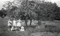  Dzieci pod drzewkiem- 2 ; *The children under the tree-2<br />Dofinansowano ze srodków Ministerstwa Kultury i Dziedzictwa Narodowego i Starostwa Powiatowego w Bialymstoku.<br />