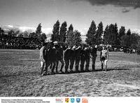 Reprezentacja piłkarzy Pogoni Łapy ** Football players of Pogoń Łapy - k156<br />Dofinansowano ze środków Ministra Kultury i Dziedzictwa Narodowego, Starostwa Powiatowego w Białymstoku, Urzędu Miejskiego w Łapach, Gminy Sokoły<br />