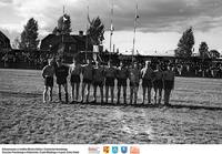 Reprezentacja piłkarzy Pogoni Łapy ** Football players of Pogoń Łapy - k157<br />Dofinansowano ze środków Ministra Kultury i Dziedzictwa Narodowego, Starostwa Powiatowego w Białymstoku, Urzędu Miejskiego w Łapach, Gminy Sokoły<br />