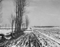 Pejzaż zimowy. Ok. 1930 r. *Winter Landscape. Ca 1930