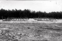 Niemiecki cmentarz wojenny z 1941 roku w okolicach Suraża. Ok. 1943 rok
The German war cemetery near Suraz from 1941. Circa 1943.