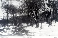  Andersen - cisza zimowa - pocztówka ; Andersen - winter silence - a postcard<br />Dofinansowano ze srodków Ministerstwa Kultury i Dziedzictwa Narodowego i Starostwa Powiatowego w Bialymstoku.<br />