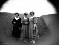 Trzy kobiety wśród łanów zbóż. 1930-1935 rok.  *Three women among fiefs cereals. Ca 1930-1935