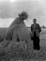 Władysław Piotrowski przy zbożu. Ok. 1935 rok.  *Władysław Piotrowski on crops. Ca 1935
