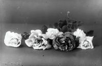  Cztery róże. Ok. 1943 rok, Four roses. Circa 1943.