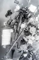  Skrzypce i kwiaty - martwa natura ; The violins and flowers - still life<br />Dofinansowano ze srodków Ministerstwa Kultury i Dziedzictwa Narodowego i Starostwa Powiatowego w Bialymstoku.<br />