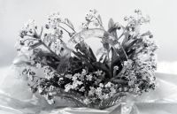  Kwiaty w szklanej wazie ; A glass vase with forget-me-not flowers<br />Dofinansowano ze srodków Ministerstwa Kultury i Dziedzictwa Narodowego i Starostwa Powiatowego w Bialymstoku.<br />