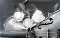  Skrzypce i róże ; A violin and roses - still life<br />Dofinansowano ze srodków Ministerstwa Kultury i Dziedzictwa Narodowego i Starostwa Powiatowego w Bialymstoku.<br />