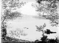 Krajobraz nad jeziorem Żejmiana Ok. 1930 rok. *Landscape at  lake Żejmiana Ok. 1930