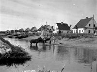 Domy rybackie na Helu. 1935 rok. *Houses Fishing on Hel. Ca 1935