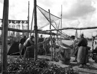 Rybacy przy pracy.  Ok. 1930 rok.  *Fishermen at work. Ca. 1930 .
