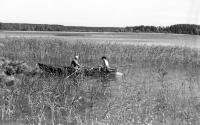Łódka na jeziorze. Ok. 1955 rok *Boat on lake. Ca. 1955