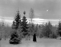 Zima w okolicach Podbrodzia. Ok. 1935 rok *Winter in  vicinity Podbrodzie. Ca. 1935