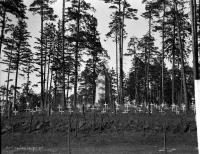 Cmentarz wojskowy w Białymstoku. Ok. 1935 rok *Military cemetery in Bialystok. Ca. 1935