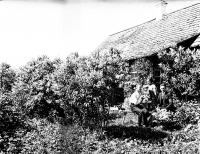 Rodzina Piotrowskich w Podbrodziu. Ok. 1930 rok.  *Family Piotrowski in Podbrodziu. Ca 1930