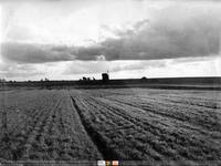 Pola uprawne i wiatrak;  *Farmland and a windmill  **4775<br />